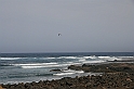 Kanary_2010 114